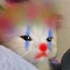 clown14.2