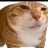 qgvinh_3