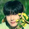 junghobi55