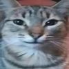 drgigglefarts2