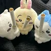 zwips_choii