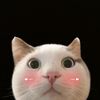 fatmah130121