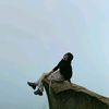 _gulamaniss