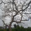 andres19115
