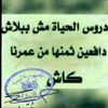 user94161249591855