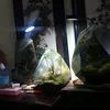 terrariumvietnam