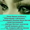 dyrpd41wi9tg
