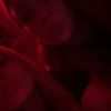 fabienne_04333