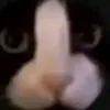 yourstalkeruwukittin