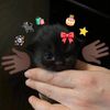 heyheychiffon