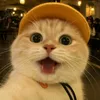 its.all.about.acoustic