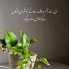 ali.mir830