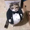 hskahsnzuhzbb