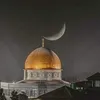 ahmadfraijeh
