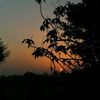mehwish_nadeem16