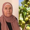 mamma.alhanona