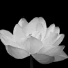 13_05thanh