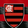 pedtolucassilva