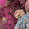 dy3mwhuujeqg