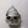 insideanicecube