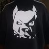 pitbullhoi