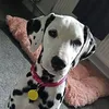 millymoo992