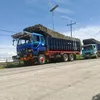 sidjalea