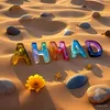 ahmad_esmail.3