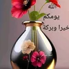 awlouse