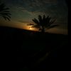 salihjafar6
