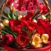 user5yh5xndy4t