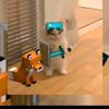 isaacjuega1236