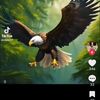user8407619939867