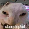 phai_300