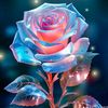 tahsin.islam87