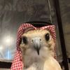 emanmansour150