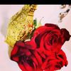 user513467171757