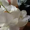 rokiahjaafar639