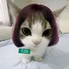 angeeiiii