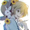 avinii11