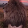 maximilianomiguel15