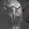 mohmadae_____66
