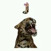 user83341429829964