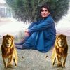 abdulsalam5329