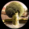 theguywhoonlycomments66