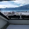 genispau