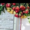mohammedzakzouk28