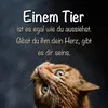 hildesteini0