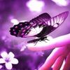 asmajamal593