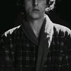 niko_silvestre